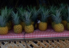 ACCENT GRAVE ON ANANAS smaller