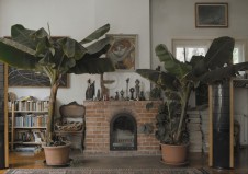 Banana Still 2