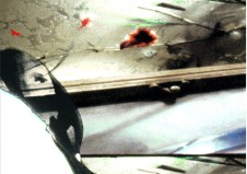 Field Study 2 Credit Courtesy of Filmform copy