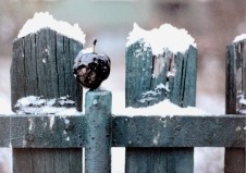 Light Years Expanding Credit Courtesy of Filmform smaller