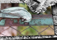 Old Digs Credit Courtesy of Filmform copy