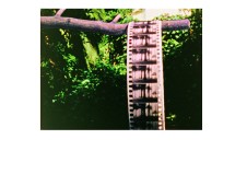 Pat ONeill Foregrounds Loop 4