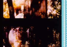 TREES OF SYNTAX 04 filmstrip smaller