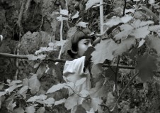 The Eyes of Summer smaller