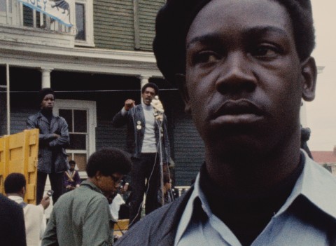 Black Panthers by Varda smaller