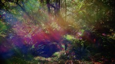 Urthworks: 3 Films by Ben Rivers