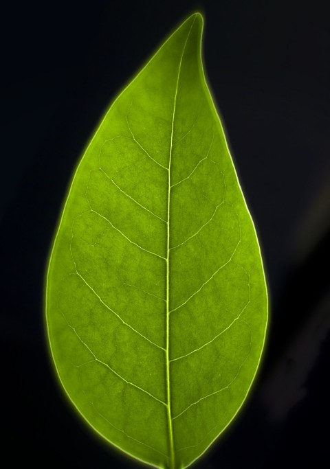 Of Time and Memory Hoja smaller