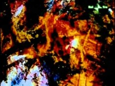 Filmforum 50, program 7: Vision of the Fire Tree