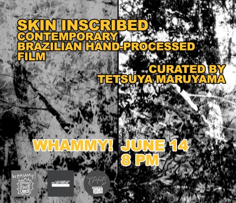 SKININSCRIBED FLIER copy