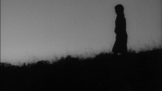 Spring Night Summer Night, with Ross Lipman