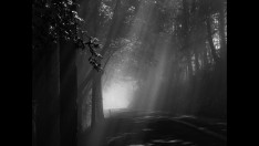 Sanctuary Station, by Brigid McCaffrey