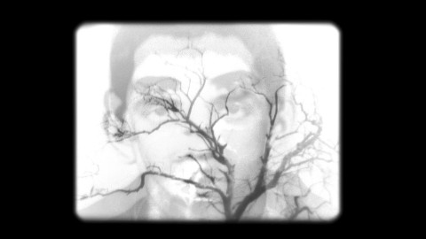 SonOfDreamStill