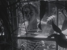 Filmforum 50, program 2: The Women’s Gaze: Chick Strand’s Soft Fiction and Courtney Stephens’s Terra Femme