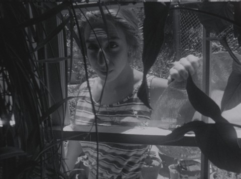 Strand SoftFiction01