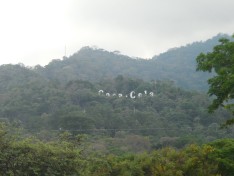 FORMATIONS: Selected Works by Francis Almendárez, 2013-2025