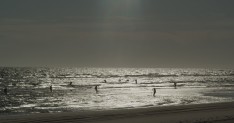 LA OLA: The Sea Stares at Us From Afar