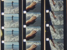 Precarity in Film: Experimental Ecologies - The Vulnerable Gaze