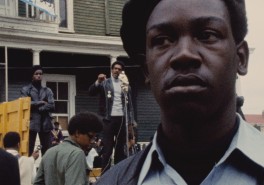 Black Panthers by Varda smaller